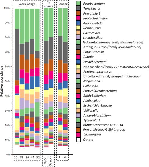Relative abundance (%) of genera in samples according to weeks of age, selenium source and gender of puppies. Genera with relative abundance < 0.5% were pooled and named ‘Others’.