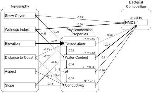 Final structural equation model (SEM) results (X2 = 27.6, d.f. = 21, P = 0.15) with standardized coefficients. All pathways were significant.