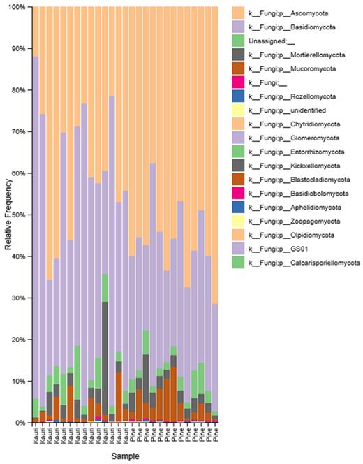 Relative frequency (%) of fungal phyla across kauri and pine soil samples.