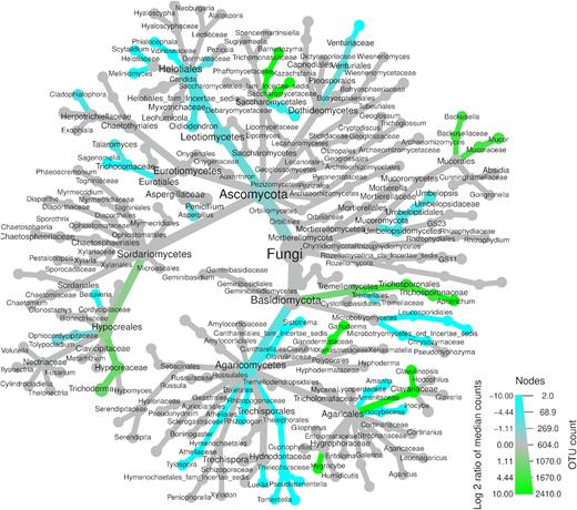 Differential heat tree showing fungal taxa with significantly different relative abundances (P < 0.05) between kauri and pine soils. Taxa significantly higher in kauri soil are represented by green nodes and those significantly higher in pine soil are represented by blue nodes.