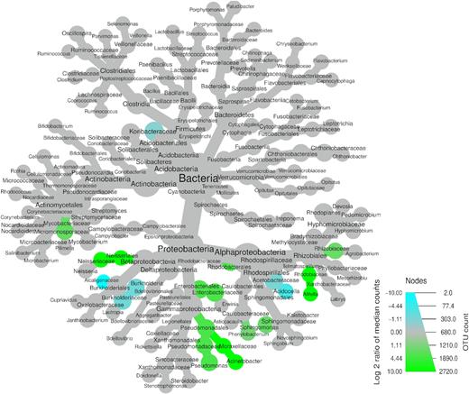 Differential heat tree showing bacterial taxa with significantly different relative abundances (P < 0.05) between kauri and pine soils. Taxa significantly higher in kauri soil are represented by green nodes, while those significantly higher in pine soil are represented by blue nodes.