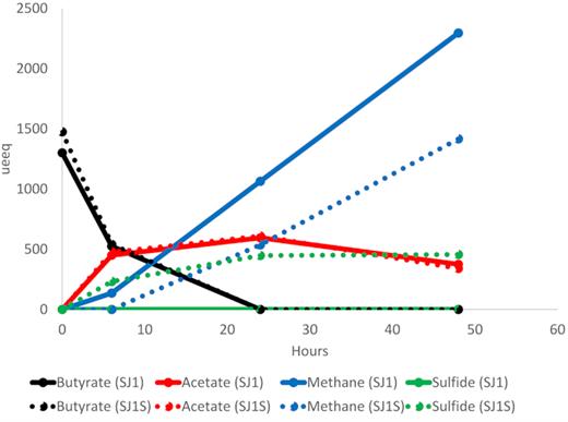 Levels of butyrate, acetate, methane and sulfide in preliminary microcosm incubations used for determining timing of metatranscriptome profiles. Solid lines: control. Dotted lines: sulfate provision. Black: butyrate concentration. Red: acetate concentration. Blue: methane concentration. Green: sulfide concentration. µeeq: microelectron equivalents.