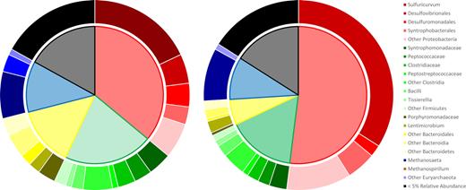 Taxonomic composition of the methanogenic bioreactor (A) and sulfate enrichment (B). Inner chart: phylum abundance; clockwise: Proteobacteria, Firmicutes, Bacteroidetes, Euryarchaeota, phyla with <5% relative abundance. Outer chart: relative abundance of subgroups within phyla.