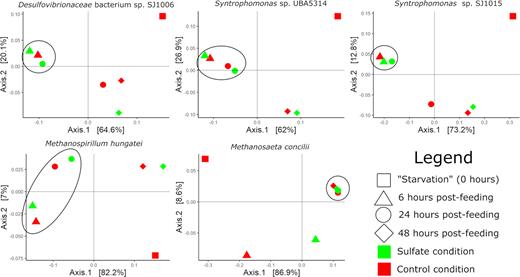PCoA plots of metatranscriptome profiles for MAGs of interest. High-activity profiles are circled. Shapes and colors represent time points and conditions, respectively, as described in the legend.