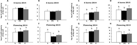 Size of the acdS and nifH functional groups compared in the three field sites L, FC and C over four sampling times. Means and standard deviations are shown for the acdS group at six leaves in 2014 (A), and 2015 (B), and at flowering in 2014 (E), and 2015 (F), and for the nifH group at 6 leaves in 2014 (C), and 2015 (D), and at flowering in 2014 (G), and 2015 (H). The analysis was done using pooled samples of six roots systems (n = 5) at FC and C and individual root systems (n = 30) at L in 2014, and individual root systems (n = 20) at all three sites in 2015. Statistical differences between sites are indicated by letters a-c (ANOVA and Fischer's LSD tests, P < 0.05).