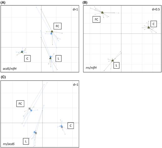 Co-inertia analysis between acdS and nifH diversities (A), rrs and nifH diversities (B), and rrs and acdS diversities (C). Projection of the samples (n = 5) is based on both acdS (Blue) and nifH (Green), rrs (Grey) and nifH (Green), or rrs (Grey) and acdS (Blue) diversity variables (level = genus) into a same factorial plan. The vector in black shows the strength of co-trends between the two barycenters of variables as related to each site (L, FC, C). Shorter vectors indicate stronger convergent trends between the two variable groups.