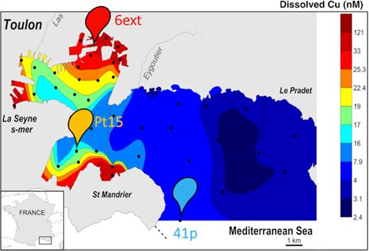 Map of Toulon Bay showing the location of the different sampling sites and the concentration of dissolved copper in surface seawaters measured in February 2014. Solid and dashed lines represent a seawall and treated sewage submarine outlets, respectively.