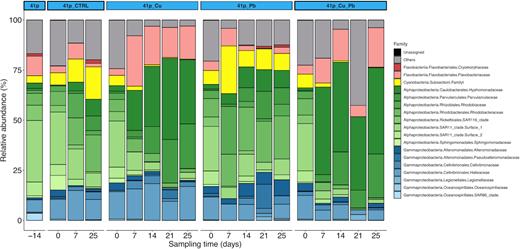 Composition of heterotrophic microbial community at the family level in 41p seawater and in the four conditions over the entire course of the first mesocosm experiment. Each bar represents the relative abundance of family in the samples. Families that on average comprised <1% of the libraries are grouped as ‘Others.’