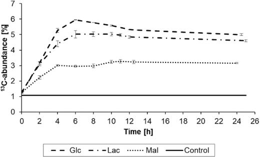 Incorporation of 13C-carbon from H13CO3− into the biomass of B. subtilis W23 growing in M9 containing unlabelled glucose, lactate or malate as carbon sources, respectively. The control shows the natural abundance of 13C-carbon. The depicted values are mean values of three biological replicates. The error bars represent the calculated standard deviation; in case of the control, the error bars are too small to be visible.