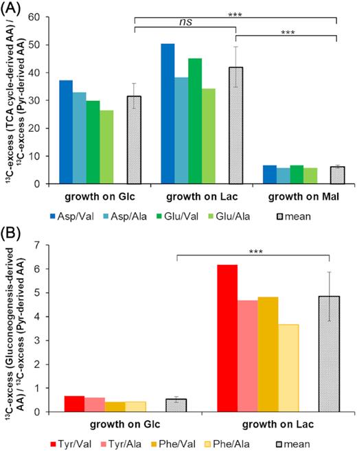 Marker ratios of 13C-excess between selected amino acids. (A) 13C-excess (TCA cycle-derived amino acids)/13C-excess (pyruvate-derived amino acids). The coloured bars depict the ratios of the chosen amino acids in three independent labelling experiments with each of the three substrates, glucose (Glc), lactate (Lac) or malate (Mal). The grey bars show the mean values of 13C-ratios for these fractions. The individual ratios as well as the mean values are significantly higher when an active CO2 fixation is required in the experiments with Glc and Lac compared to a background or random fixation of CO2 in the experiment with Mal. P-values were calculated by Student's t-test (unpaired): P(Glc/Lac) = 0.05031, P(Glc/Mal) = 0.00003, P(Lac/Mal) = 0.00006. (B) 13C-excess (gluconeogenesis-derived amino acids)/13C-excess (pyruvate-derived amino acids). The coloured bars depict the ratios of the chosen amino acids when glucose or lactate were the growth substrates, respectively, and the grey bars show again the mean values of 13C-ratios. P-value was calculated by Student's t-test (unpaired): P(Glc/Lac) = 0.00017 (for detailed calculation, see the excel file F5 m+1 and ratio of label_SI Paper in the Supporting Information).