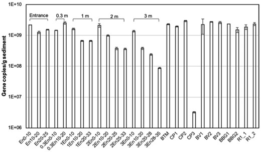 Quantitative assessment of the abundance of total bacterial 16S rRNA genes in the core samples as well as surface sediment samples. Error bars represent standard deviation (n = 3).