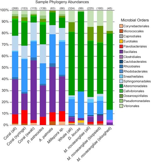 Percent abundance of microbial orders for each sample type. Abundances of operational taxonomic units at the level of microbial order are shown. Orders of the same class are clustered by color. Only OTUs with abundance values above 0.1% are shown. The number in parentheses above each column indicates the number of SSU rRNA sequences used in the analysis for each sample type. The number in parentheses next to each sample type is the number of samples. See Table S1 (Supporting Information) for more sample information.