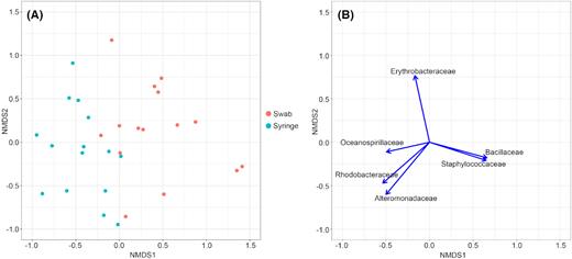 Non-metric multidimensional scaling (NMDS) visualization of cultured microbial community composition across coral sampling methods. A. Ordination of the 32 species/media combination objects in multivariate space of coral species. Each object color indicates the coral surface sampling method. B. Bacterial family variable loadings on NMDS axes 1 and 2. The length of the vectors indicates the strength of the associated variable for describing the NMDS axes. The direction of the vectors indicates the direction of the associated variable gradients in ordination space. Only variable loadings (microbial families) contributing significantly (P < 0.01) to the ordination are included.