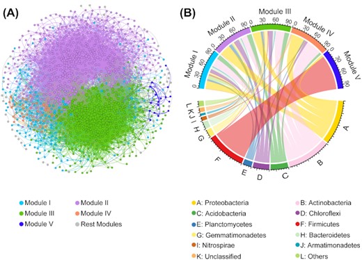 An overview of the overall bacterial association network. (A) Nodes contained in the network are colored by modules. A connection indicates a strong (ρ > 0.6 or ρ < −0.6) and significant correlation (Benjamini–Hochberg adjusted P < 0.01). The size of each node is proportional to the degree. Modules with nodes less than 15 were grouped into ‘Rest modules’. (B) The phyla distribution of nodes from different major modules.