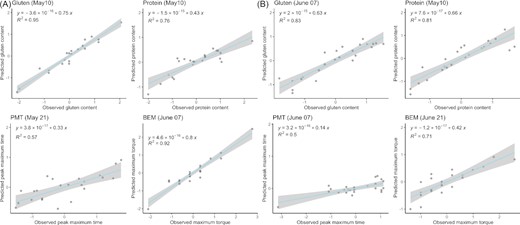Observed values vs. predicted values from LASSO regression models for wheat grain gluten and protein content and flour maximum torque (BEM) and peak maximum time (PMT) for the drought-tolerant (A) and drought-sensitive (B) genotypes.