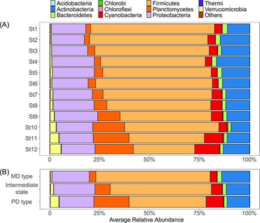 Bacterial community profile from St1 to St12 (A) and from MD to intermediate type to PD types (B).
