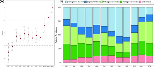 Change in the β-nearest taxon index (A) and the contribution of different ecological processes to the assembly of the bacterial community from St1 to St12 (B).