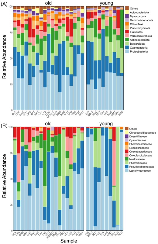 Sequence-based relative abundances of the most abundant bacterial phyla (A) and cyanobacterial families (B) in lake samples grouped by “old” (left) and “young” (right) ages.