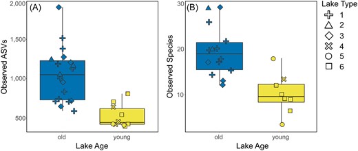 Differences in observed richness between old (blue) and young (yellow) lakes for bacteria (A; as number of ASVs) and diatoms (B; as number of morphospecies). Symbol shape indicates which lake type a sample originates from (1–6; Nedbalová et al. 2013). Old lakes have significantly greater richness values than young lakes for both bacteria and diatoms (Kruskal–Wallis test: H = 10.91 and 10.57, P ≈ .001 and .001, respectively).