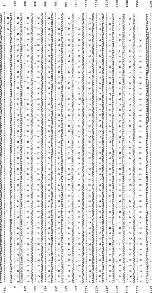 The DNA and protein sequence for p75 from PG21T. The putative Shine–Dalgarno sequence is underlined. The putative lipoprotein signal peptide is underlined. Downstream of the stop codon, a putative stem-loop structure is indicated by underlining.