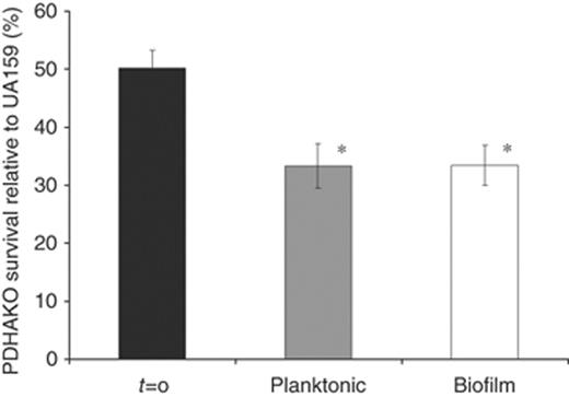 Biofermentor growth competition between UA159 and PDHAKO. Cultures were initiated at pH 6.0 before exposure to pH 5.0. Percentage of PDHAO survival in both biofilm (□) and planktonic () culture fractions was calculated as the CFU mL−1 present on THYE+10 μg mL−1 erythromycin agar plates divided by the CFU mL−1 present on THYE agar. The results are expressed as the mean±SE of three independent experiments. *Statistical significance compared with t=0 (P<0.05).