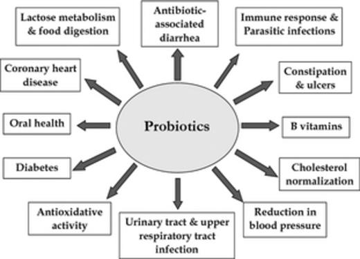 Projected prospective health attributes of probiotics.