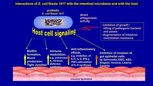 Interactions of E. coli strain Nissle 1917 with the intestinal microbiota and with the host. Direct antagonistic effects against pathogens (top right) were first described by Alfred Nissle. Inhibition of invasion of gut epithelial cells by enteroinvasive pathogens are indirect antagonistic effects (at the bottom on the right) and involve signaling with the gut mucosa. All the other new probiotic activities that have been discovered in the last few decades involve communication with host tissues, e.g. with the gut mucosa and/or the gut immune system.