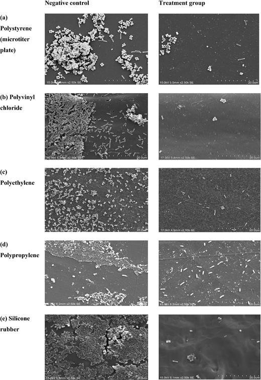 SEM images of dual-species biofilm of S. aureus ATCC 6538P and P. aeruginosa ATCC 27853 on various polymer surfaces (a‒e): negative control (left); treatment with betacyanin fraction formulation (0.625 mg/mL RP + 0.625 mg/mL RS) (right). Scale bars = 20 μm.