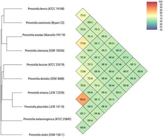 Heatmap generated with OrthoANI values calculated using the OAT software between strain Marseille-P4119T and closely related species with standing in nomenclature.