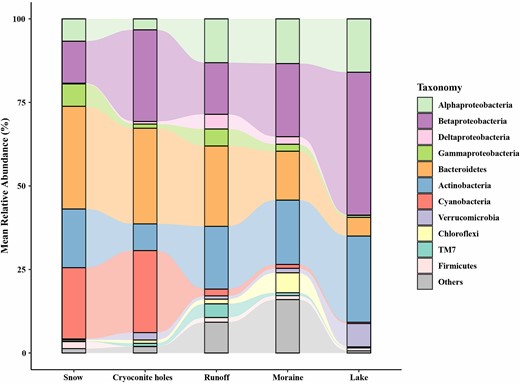 Taxonomic compositions in snow, cryoconite holes, runoff, moraine, and lake samples based on the mean relative abundance of bacterial 16S rRNA gene sequences. The relative abundance < 1% in all samples were grouped together in “Others”.