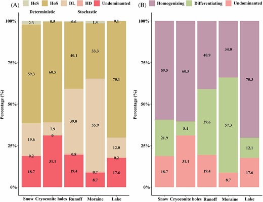 The ecological processes in bacterial community assembly estimated by null model analysis. (A) The relative contribution of Homogenizing dispersal (HD), Dispersal limitation (DL), Undominated, Heterogeneous selection (HeS) and Homogenizing selection (HoS) in glacier habitats. (B) The relative contribution of homogenizing, differentiating, and undominated in glacier hydrological continuum.