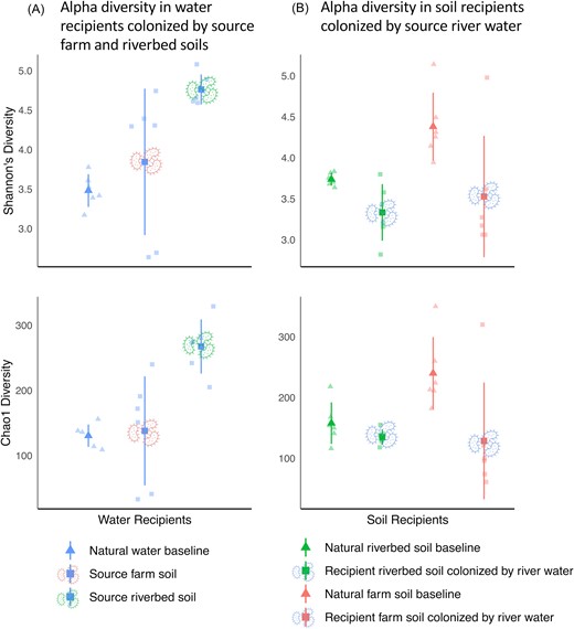 Dot plots of alpha diversity estimated using Shannon's species diversity and chao1 species richness indices in water and soil recipients. Shapes indicate either a natural baseline control (triangles) or recipient community (squares). The color of the dots represents the environment type sampled (red = farm soil, green = riverbed soil, and blue = river water). Colored microbe icons show which source environment was used to colonize the recipient (excluding natural baseline controls, which were colonized by their respective natural source e.g. natural river water colonizing sterilized river water). Larger points show the means of each treatment, while individual replicate microcosms are represented by the smaller points in each figure. Lines represent standard deviation from the treatment mean.