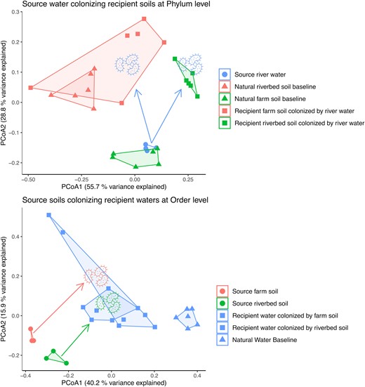 Principal Coordinate Analysis (PCoA) ordinations of bacterial source and recipient community composition. Shown data are Bray-Curtis dissimilarities. Shapes indicate natural baseline control (triangles), source (circles) or recipient (squares) communities. Colors represent the environment type sampled (red = farm soil, green = riverbed soil, and blue = river water). Colored microbe icons show which source environment was used to colonize the recipient (excluding natural baseline controls, which were colonized by their respective natural source e.g. natural river water colonizing sterilized river water). Arrows indicate direction of colonization from source to recipient environments. In summary: A) Source river water colonizing recipient farm and riverbed soils. B) Source riverbed and farm soil colonizing recipient river water.