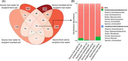 Core microbiome across all water and soil recipients. A) Venn diagram showing the total number of unique ASVs present in at least one replicate of a treatment's recipient environment. B) Relative abundance of unique ASVs at least 80% prevalent across all replicates within a treatment, across all water and soil recipients.