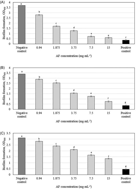 Effect of C. ternatea flowers AF on preformed biofilm formation of (A) Streptococcus mutans, (B) Actinomyces viscosus, and (C) Aggregatibacter actinomycetemcomitans. Means with different letters indicate significant (P < .05) differences among the treatments.