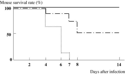 Survival rate of gnotobiotic mice infected with EHEC O157:H7. (▀) gnotobiotic mice mono-associated with EHEC O157:H7 (n=8). (-⋄-) EHEC-associated gnotobiotic mice prophylactically treated with C. butyricum (n=8). (-·-·-·-) EHEC-associated gnotobiotic mice therapeutically treated with C. butyricum (n=8).