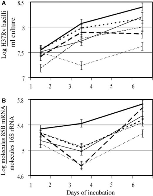Excess iron enhanced, while iron chelating agents reduced the number (A) and viability (B) of H37Rv in culture, as detected by real time quantitative-PCR (Q-PCR). Mycobacteria were cultured under normal, unsupplemented conditions (′) or treated with iron (500 µM FeSO4· 7H2O; ), silybin (500 µM; — - -), desferrioxamine (DFO, 500 µM; …), iron plus silybin () or iron plus DFO () and aliquots taken on days 1, 3 and 6 of incubation. Following extraction of DNA and RNA and RT-PCR of 85B mRNA and 16S rRNA, IS6110 DNA, 85B cDNA and 16S cDNA were quantified by the TaqMan assay. IS6110 DNA quantities were used to calculate mycobacterial number (A). Quantities of 85B mRNA, which is unstable and has a short half-life were normalized to the quantities of 16S rRNA, which is more stable and remains relatively constant, in order to investigate variation in the proportion of 85B mRNA in the mycobacteria as an indicator of viability (B). Results represent the mean of two experiments performed in duplicate on days 1, 3 and 6 of incubation. Error bars represent the least significant difference (LSD) calculated from the pooled variance (n= 4; p < 0.05).