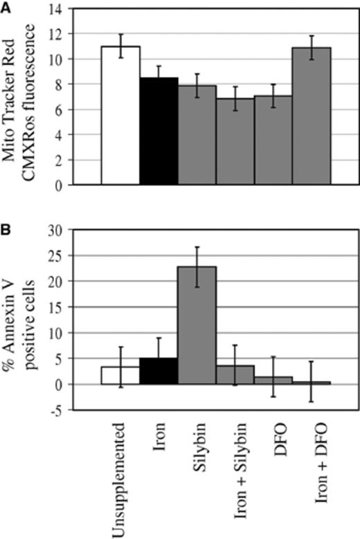 Excess iron, iron chelating agents and iron plus silybin reduced mitochondrial membrane potential (MMP) (A), while silybin increased phosphatidylserine (PS) externalization of H37Rv-infected monocyte-macrophages (mφ) (B). mφ were incubated in unsupplemented media or media supplemented with iron (500 µM FeSO4· 7H2O), silybin (500 µM), DFO (500 µM), iron plus silybin or iron plus DFO for 3 h. H37Rv was added (1:1 mφ to bacilli ratio) and cultures incubated for another 3 h. mφ were washed, cultured in fresh media for 7 days and viability measured in terms of MMP based on MitoTracker Red CMXRos accumulation and cell membrane integrity reflected by PS externalization as detected by Annexin V binding. Results represent the mean of three experiments performed in duplicate. Error bars represent the least significant difference (LSD) value calculated from the pooled variance (n= 6; p < 0.05).