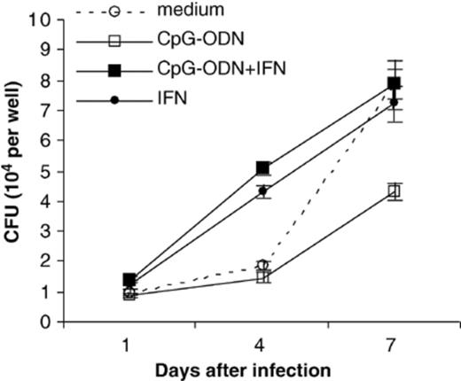 The CpG-ODN antimycobacterial effect is reversed in the presence of human recombinant IFN-γ. Results are shown for one experiment using hMDM pretreated with CpG-ODN (10 µg ml−1) and/or IFN-γ (50 ng ml−1). Similar results were obtained using a second human donor in an independent experiment. Error bars represent the standard error of the mean.