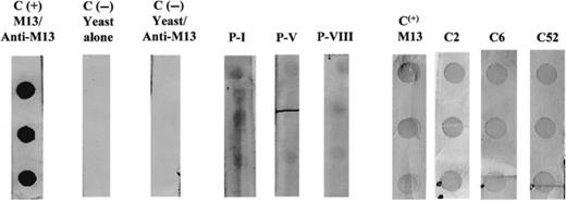 Detection of constitutive molecules on Histoplasma capsulatum yeasts ...