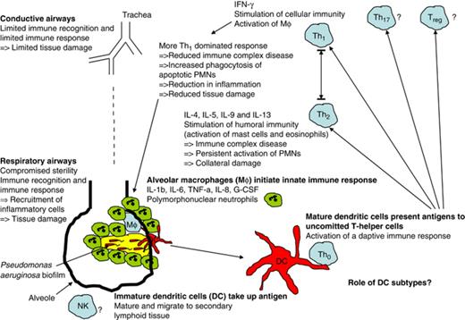 The Th1/Th2 dichotomy in chronic pulmonary Pseudomonas aeruginosa biofilm infection.