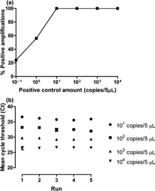 Sensitivity and reproducibility of the typhus group rickettsia real-time PCR (Rickettsia typhi positive control plasmid). (a) Analytical sensitivity. (b) Inter-run and intra-run reproducibility assessed using 101–104 positive control plasmid copies per 5 µL in five independent runs. Error bars represent the standard error of the mean of replicates.