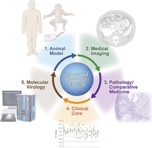 Development and refinement of animal models of human infectious diseases at the IRF Frederick. Animal models of infectious disease are characterized and refined through the concerted efforts of the Medical Imaging, Pathology/Comparative Medicine and Clinical core groups at the IRF Frederick. Lastly, the molecular virology expertise at the IRF Frederick, including systems biology and traditional virology/molecular biology approaches, provides additional capabilities for characterization of high consequence pathogens and, ultimately, aid in the refinement of animal infection models.
