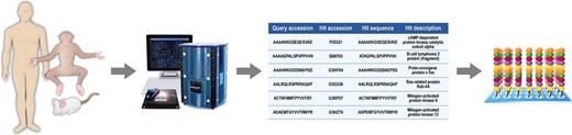 Designing species specific kinome peptide arrays for characterizing host responses to infection. Kinase phosphorylation targets within host proteins are identified based upon homology with previously characterized phosphorylation sites (human, mouse, etc.) through bioinformatic analyses. Peptides representing phosphorylation sites from the species of interest are synthesized and covalently linked to microscope slides to produce kinome peptide arrays that encompass hundreds to thousands of kinase targets.