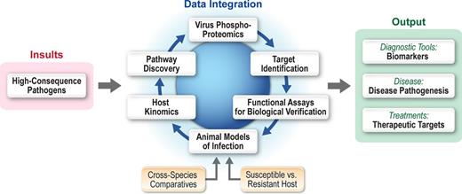 Model of outcome based molecular characterization of high consequence pathogens. For many high consequence pathogens, there is a paucity of information regarding molecular disease mechanisms. Thus, molecular approaches for characterization of these diseases at the IRF Frederick focus on molecular processes within the host and pathogen. This model provides output data in regard to the molecular characterization of infectious disease pathogenesis, identification of biomarkers associated with disease, and novel insight into potential therapeutic intervention strategies.