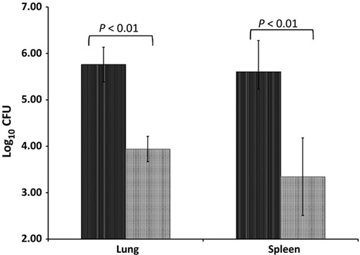 CFU in the lungs and spleens of infected animals 30 days post infection. Five animals were infected with either WT (H37Rv; black bars) or ΔHspX (X4 19; grey bars) Mtb and sacrificed 30 days PI. Lungs and spleens were harvested, homogenized, and plated to enumerate bacilli by CFU. Significant differences in bacillary burden (P < 0.01) were observed in both organs.