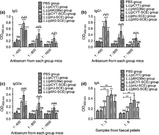 Detection of specific antibodies in recombinant Lactococcus lactis immunized mice by ELISA. Data are expressed as mean ± SD. L.L represents the strains L. latis. P < 0.05 was considered as statistically significant. *P < 0.05, **P < 0.01, ***P < 0.001, ns: not significant. The mice were orally immunized with PBS, L.L (pCYT), L.L (pMG36e), L.L (pCYT SCE), L.L (pHJ SCE), and L.L (pMG SCE), respectively. Antiserum and feces samples were collected on the fifteenth day after the last booster. The serum was diluted 1 : 400, 1 : 800, and 1 : 1600, and six groups of fecal suspensions were prepared and applied in 1 : 3 and 1 : 6 dilutions in three parallels. Serum total IgG (a), IgG1 (b), IgG2a (c), and feces mucosal IgA (d) antibodies against Helicobacter pylori urease after oral prophylactic immunization were measured by ELISA.