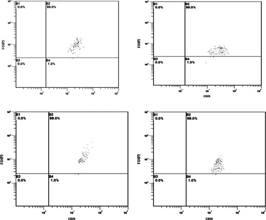 FOXP3 percentage of CD25+ cells after immunomagnetic sorting in Groups A–D.