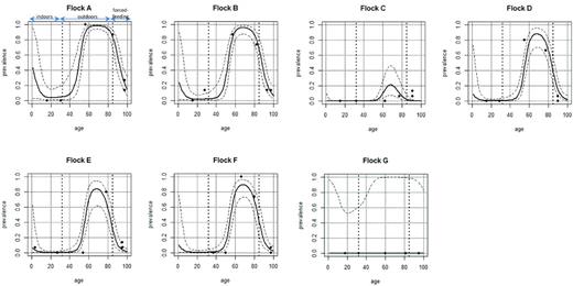 Data and predicted level of shedding in mule duck flocks investigated (A to G) fitted using the GAMM model.