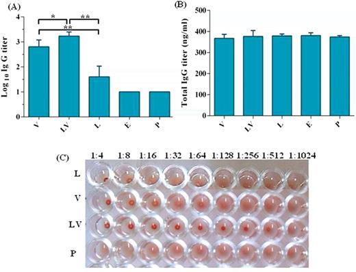 Induction of specific IgG antibodies by different vaccine preparations. Sera were collected from individual immunized mouse at two weeks after the last immunization. Presence of IgG antibodies in sera was detected by ELISA. (A) Specific HPV-16 L1 VLP IgG antibody titers and (B) total IgG antibody at dilution 1/100. Data are means ± SD, n = 5. The levels of statistical significance for differences between test groups were determined by using one-way ANOVA followed by Turkey's post-test. Statistical significance was indicated with *P < 0.001 and **P < 0.0001. (C) Inhibition of HPV-16 L1 VLPs induced hemagglutination. Sera from the same groups of mice were serially diluted and mixed with the VLPs before reacted with mouse erythrocytes. Data are expressed as the reciprocal dilution that completely inhibited agglutination of mouse RBCs by L1 VLPs. Group V received three doses of 5 μg VLPs, Group LV received one dose of 100 μg pcDNA3/L1 and boosted with two doses of 5 μg VLPs, Group L received three doses of 100 μg pcDNA3/L1, Group E received three doses of the pcDNA3 and Group P received three doses of PBS.